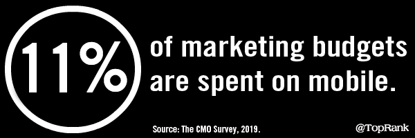 The CMO Survey 2019