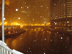 Snow Chicago - SES