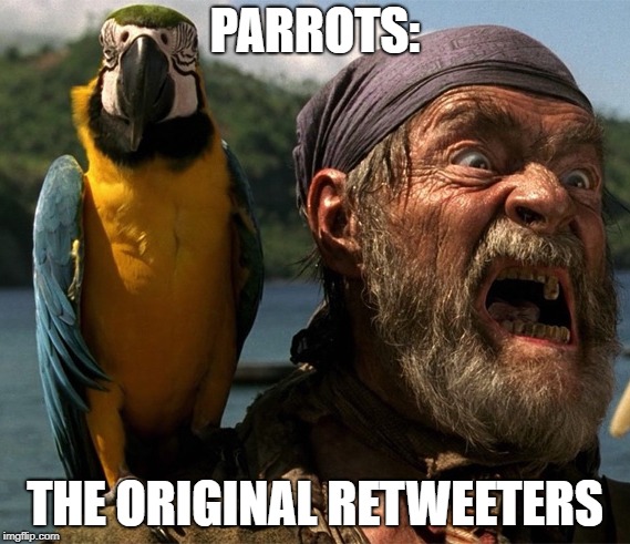 Parrots, The Original Retweeters Meme