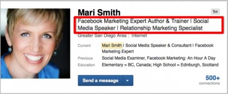 Mari Smith LinkedIn Headline