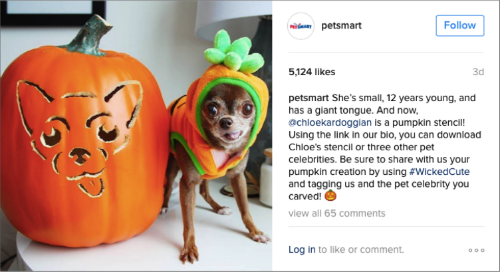 petsmart-halloween-dog