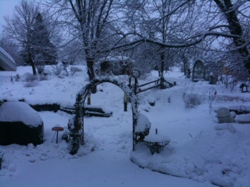 winter 2009