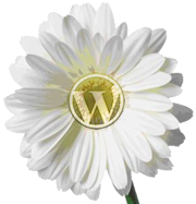 WordPress Spring Flower